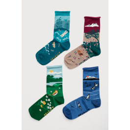 Cornish Socks In Gift Box