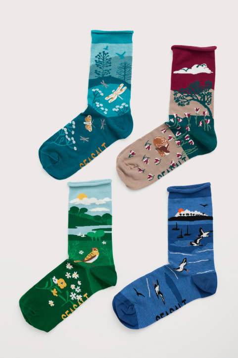 Gift Box of 4 Women's Scenic Arty Socks Model Image