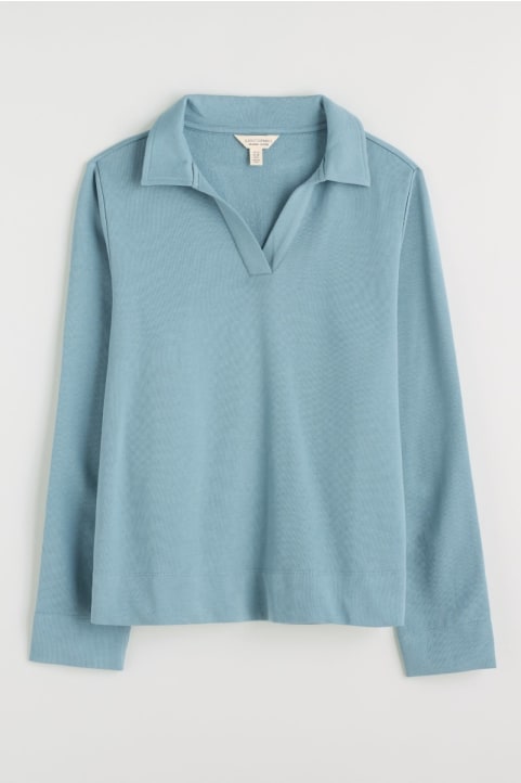 Clear Wing V-Neck Collared Sweatshirt
