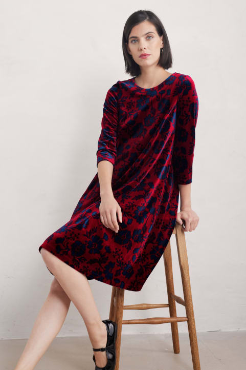 Mahonia Velvet Shift Dress Image