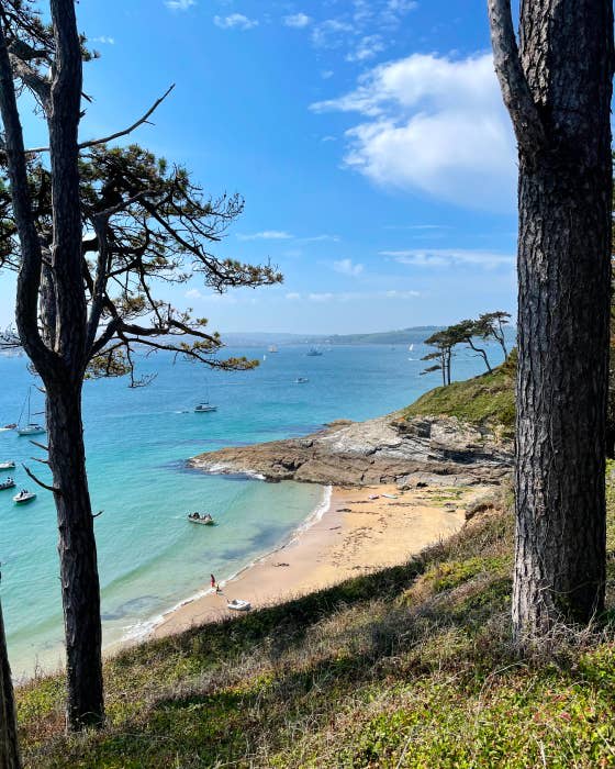 Our Favourite Spring Walks - Seasalt Cornwall