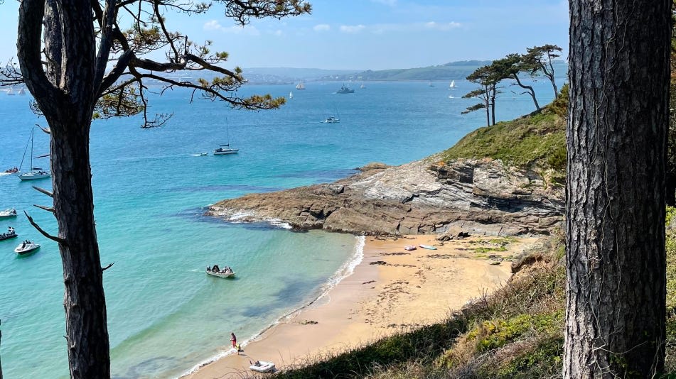 Our Favourite Spring Walks - Seasalt Cornwall