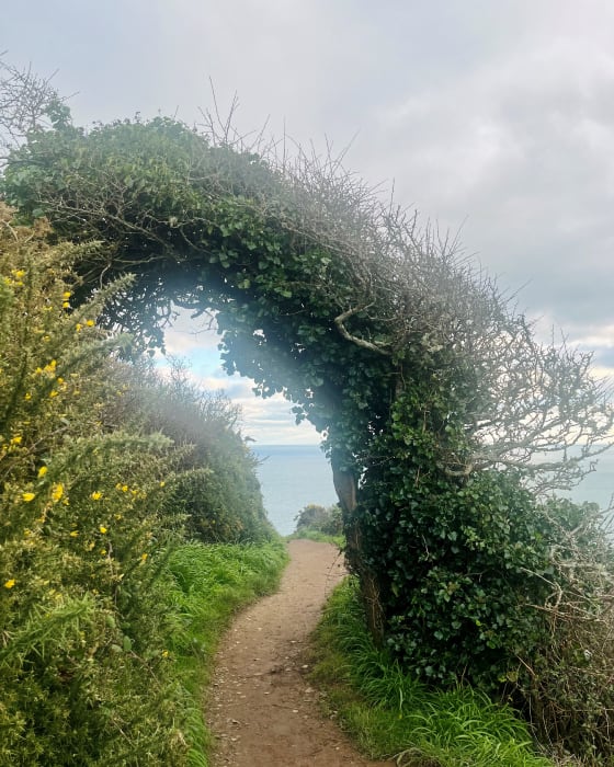 A winding sandy path under a green bush that has grown into an archway The coast path near Polperro