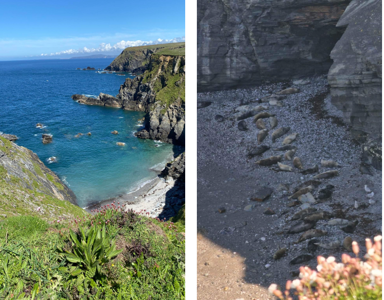 Clear blue sea and white sands viewed from the clifftops on Cornwall's north coast A sandy cove viewed from above
